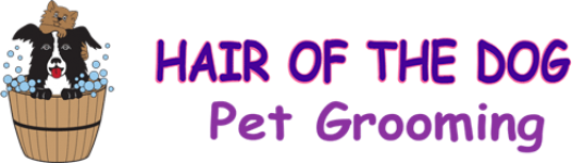 hair-of-the-dog-santa-rosa