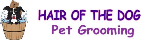 hair of the dog grooming