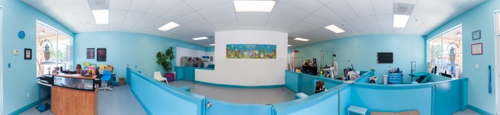 Hair Of The Dog – New Shop (2) (1)